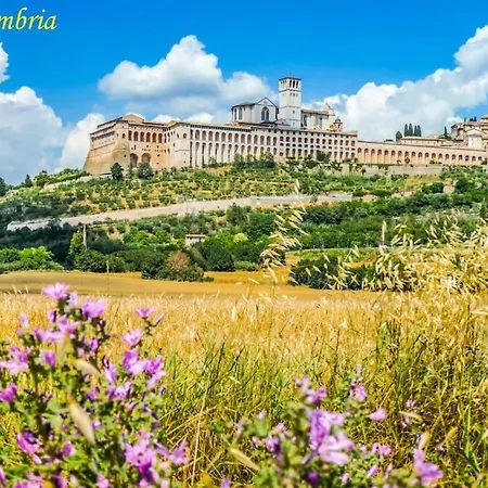 Villa By Casamerina, In Town Of With Private Garden, Pool And Sauna