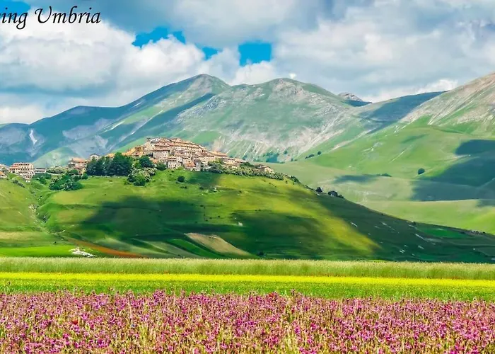 By Casamerina, In Town Of With Private Garden, Pool And Sauna * Narni